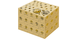 ダンボール(備蓄品入)